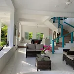 Tropical Garden